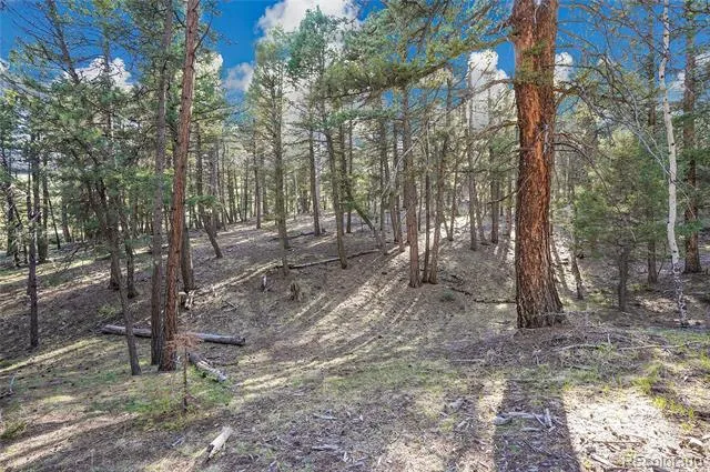 Molly Dr, Lot #3 Conifer, CO 80433