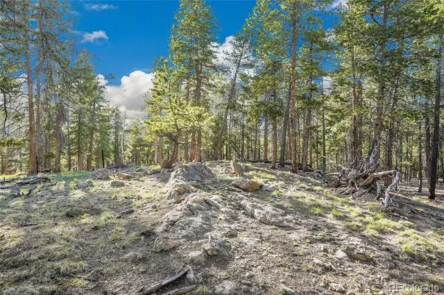 Molly Dr, Lot #3 Conifer, CO 80433
