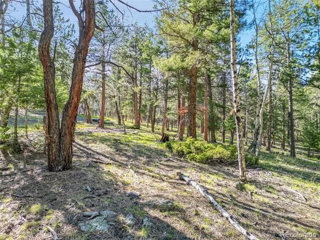 Molly Dr, Lot #3 Conifer, CO 80433