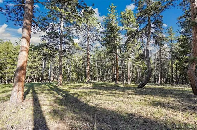 Molly Dr, Lot #3 Conifer, CO 80433