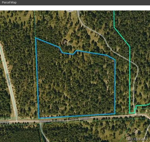 Molly Dr, Lot #3 Conifer, CO 80433