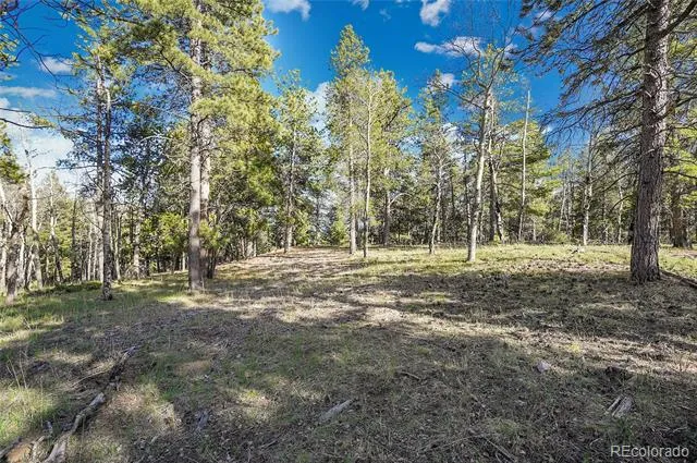 Molly Dr, Lot #3 Conifer, CO 80433