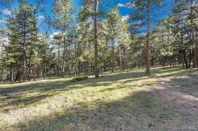 Molly Dr, Lot #3 Conifer, CO 80433