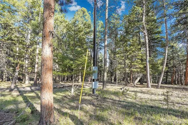 Molly Dr, Lot #3 Conifer, CO 80433