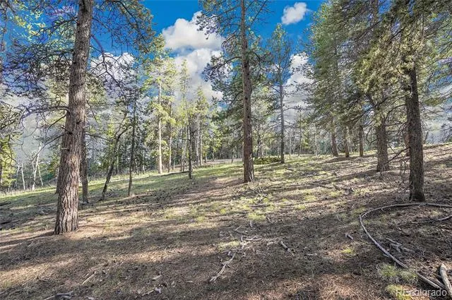 Molly Dr, Lot #3 Conifer, CO 80433
