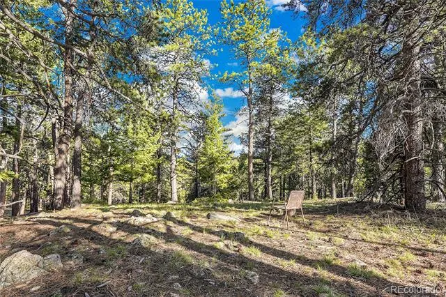Molly Dr, Lot #3 Conifer, CO 80433