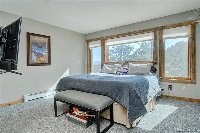 16050 Oppliger Drive Nathrop, CO 81236