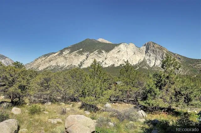 16050 Oppliger Drive Nathrop, CO 81236