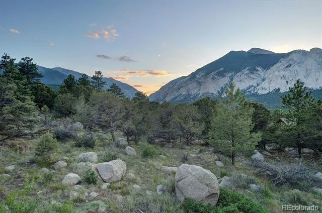 16050 Oppliger Drive Nathrop, CO 81236