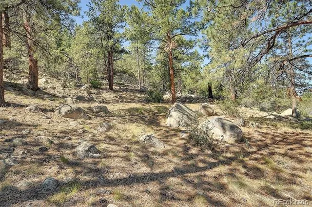 16050 Oppliger Drive Nathrop, CO 81236