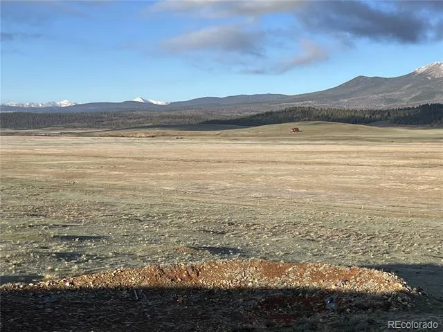 320 South Fork Way Hartsel, CO 80449