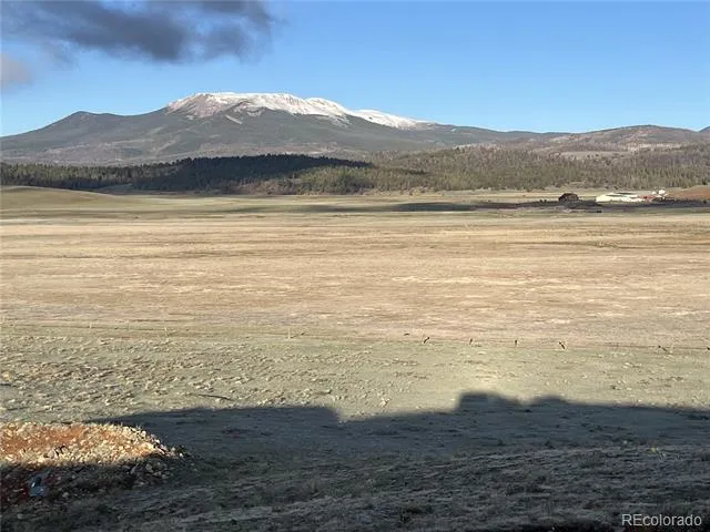 320 South Fork Way Hartsel, CO 80449