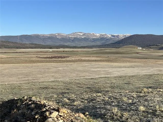 320 South Fork Way Hartsel, CO 80449