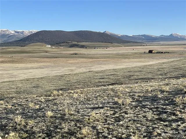 320 South Fork Way Hartsel, CO 80449