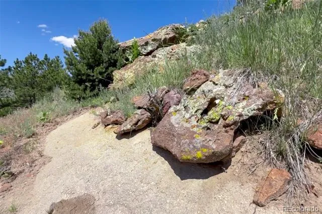 7137 Oak Valley Drive Colorado Springs, CO 80919