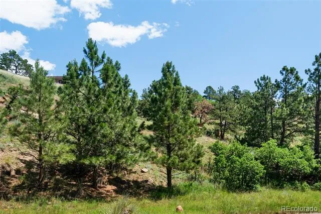 7137 Oak Valley Drive Colorado Springs, CO 80919