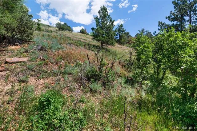 7137 Oak Valley Drive Colorado Springs, CO 80919