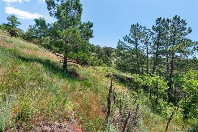 7137 Oak Valley Drive Colorado Springs, CO 80919