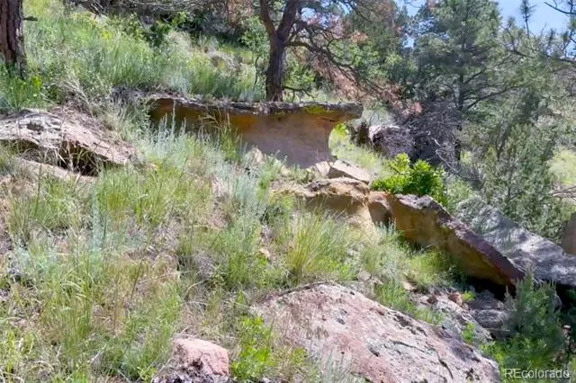 7137 Oak Valley Drive Colorado Springs, CO 80919