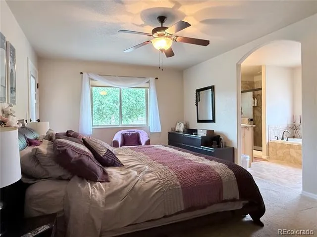 1102 E Sabeta Avenue Poncha Springs, CO 81242