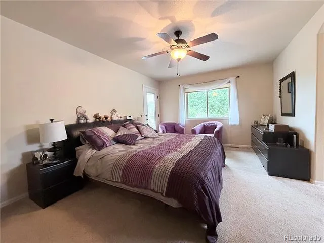 1102 E Sabeta Avenue Poncha Springs, CO 81242