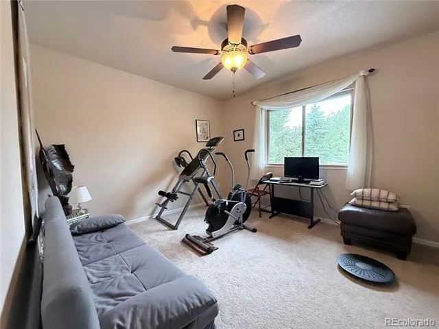 1102 E Sabeta Avenue Poncha Springs, CO 81242