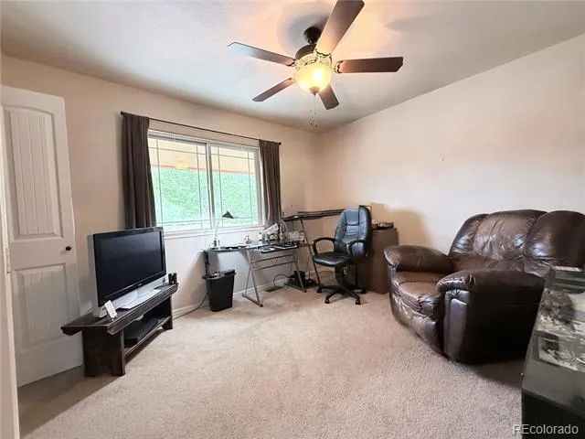 1102 E Sabeta Avenue Poncha Springs, CO 81242