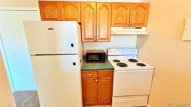 1064 Chambers Court #209 Aurora, CO 80011