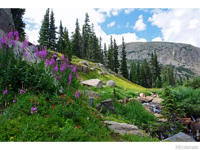 250 Eldora Road Nederland, CO 80466