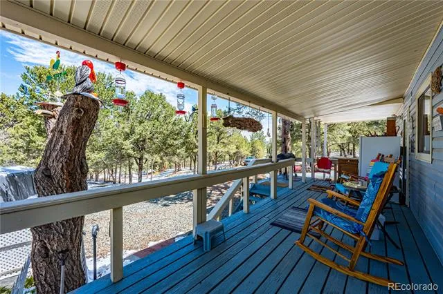 539 12th Trail Cotopaxi, CO 81223