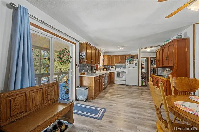 539 12th Trail Cotopaxi, CO 81223