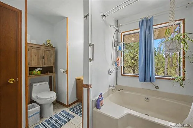 539 12th Trail Cotopaxi, CO 81223