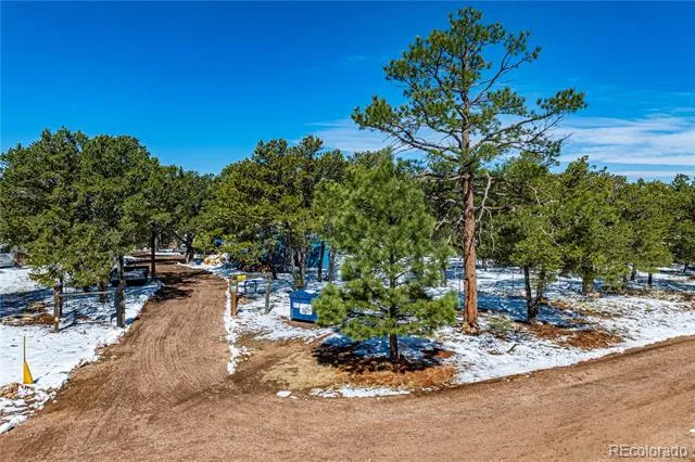 539 12th Trail Cotopaxi, CO 81223