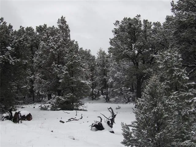 2119 & 2120 Oriole Overlook Crestone, CO 81131