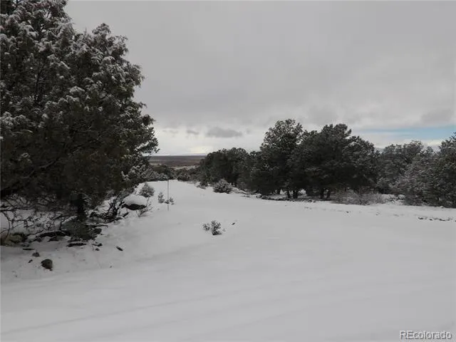 2119 & 2120 Oriole Overlook Crestone, CO 81131