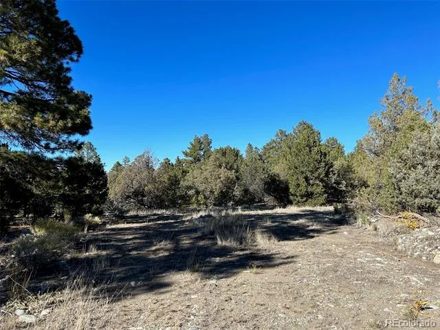 25 Pioneer Road Mosca, CO 81144