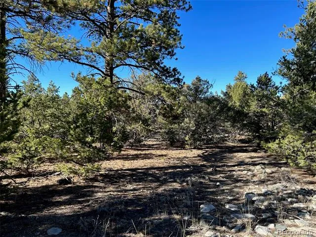 25 Pioneer Road Mosca, CO 81144