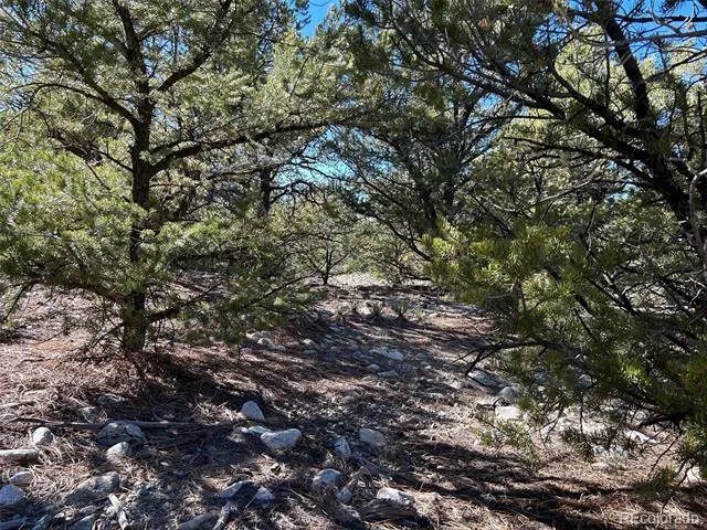 25 Pioneer Road Mosca, CO 81144