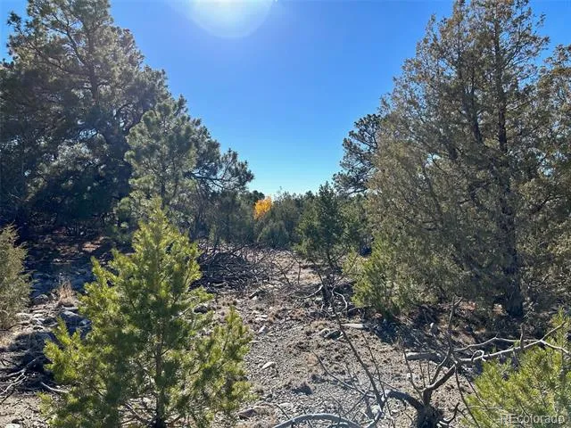 25 Pioneer Road Mosca, CO 81144