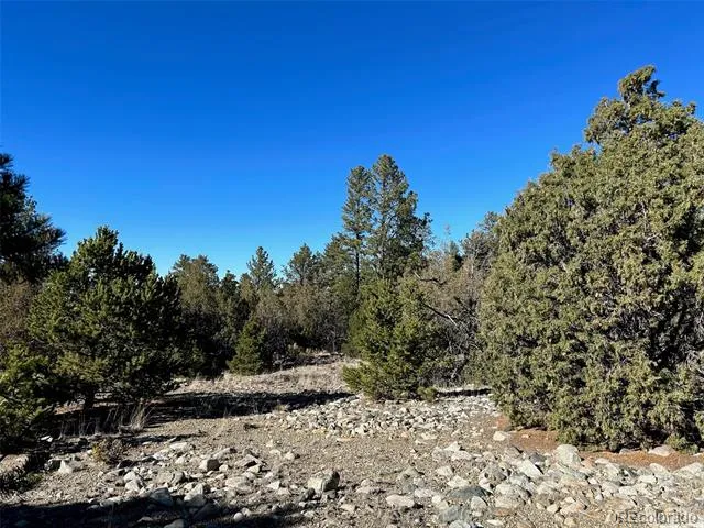 25 Pioneer Road Mosca, CO 81144