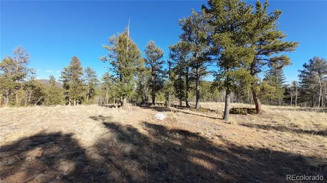 927 Forest Drive Bailey, CO 80421