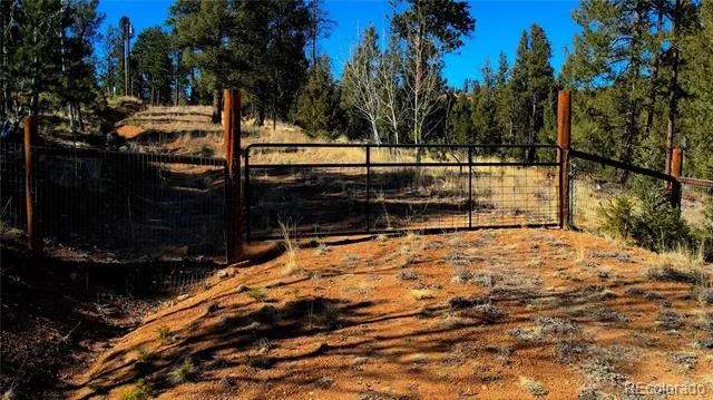 927 Forest Drive Bailey, CO 80421