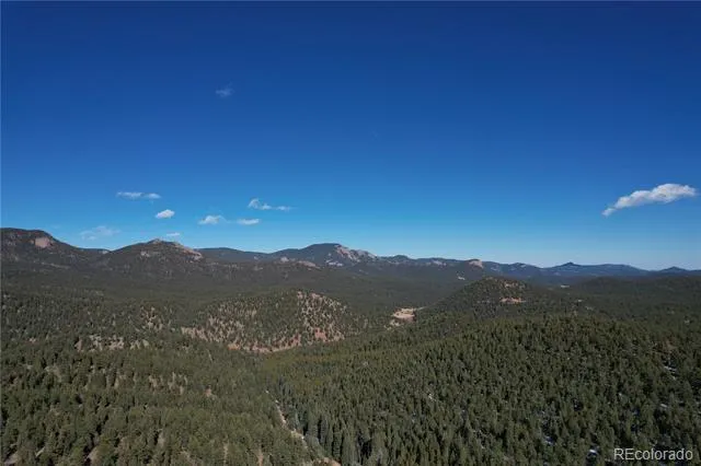 927 Forest Drive Bailey, CO 80421