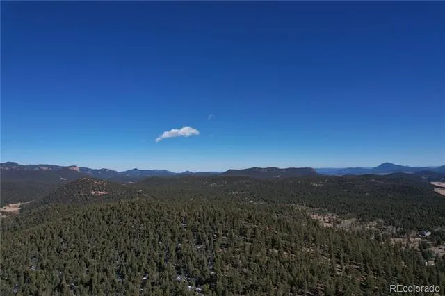 927 Forest Drive Bailey, CO 80421