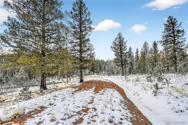 927 Forest Drive Bailey, CO 80421