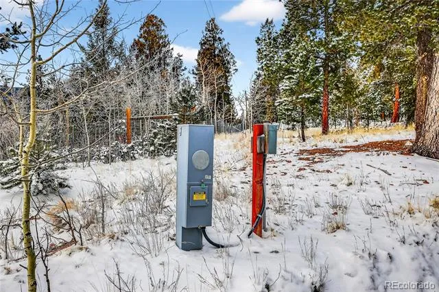 927 Forest Drive Bailey, CO 80421