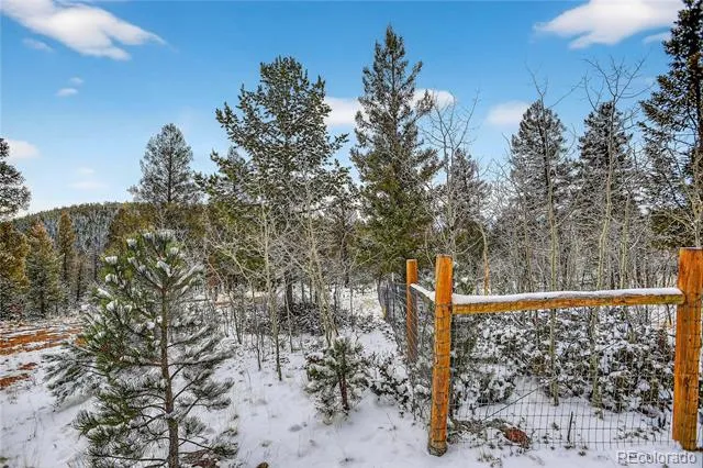 927 Forest Drive Bailey, CO 80421
