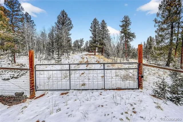 927 Forest Drive Bailey, CO 80421