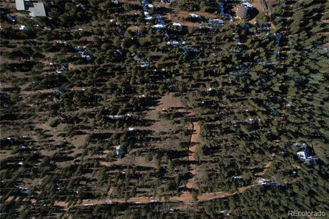 927 Forest Drive Bailey, CO 80421