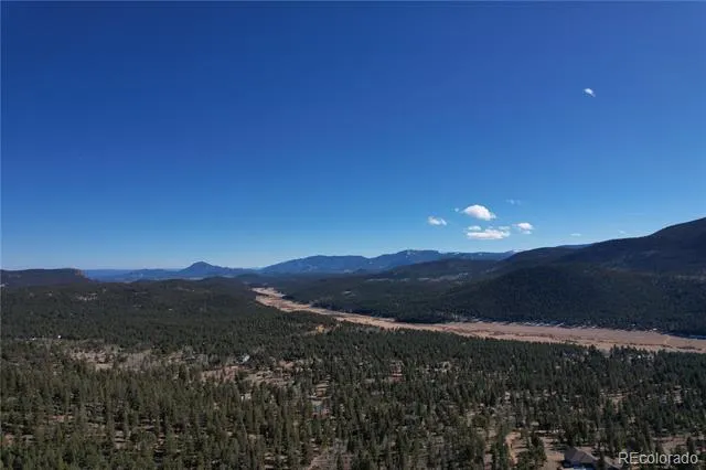 927 Forest Drive Bailey, CO 80421